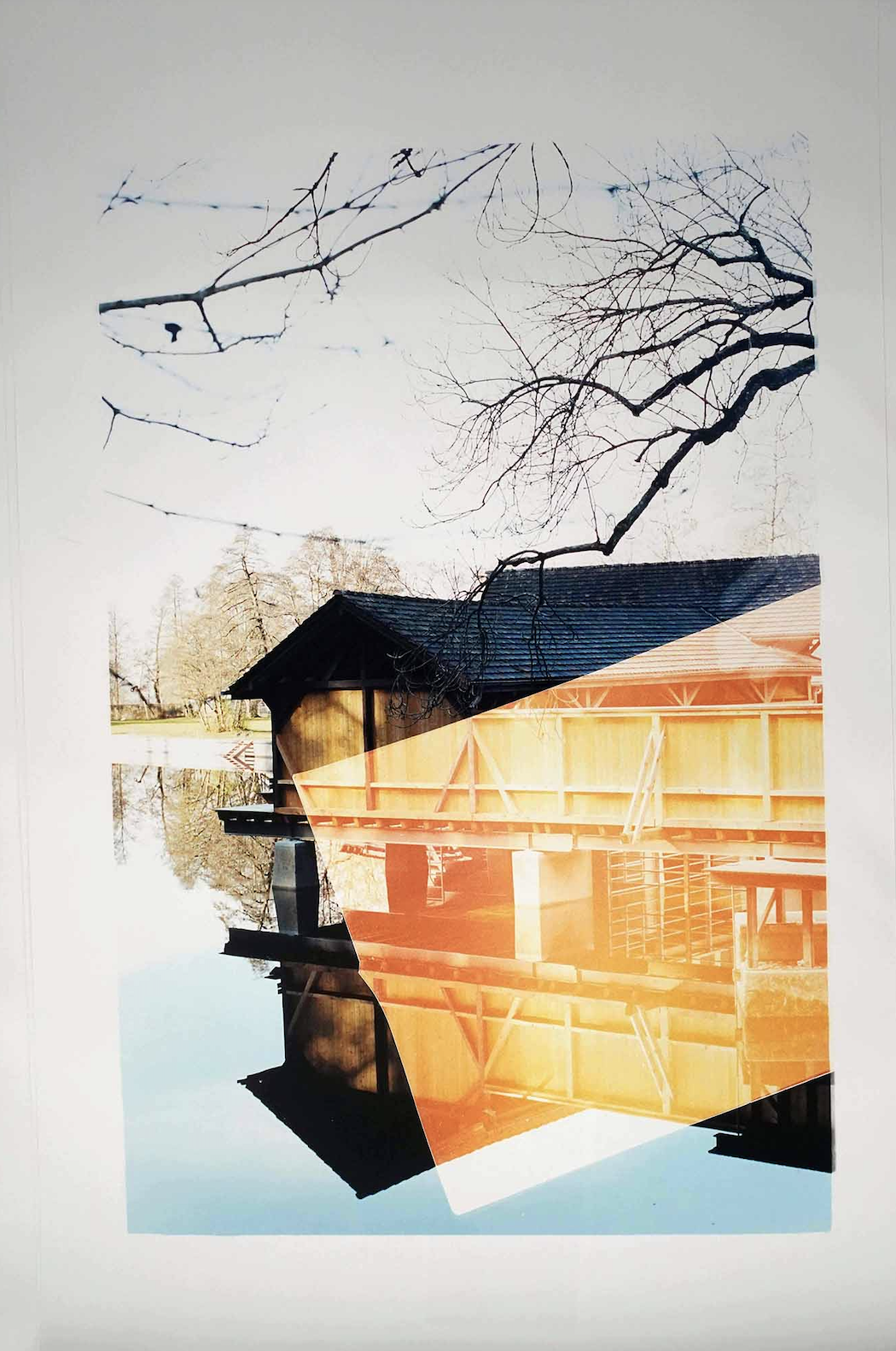 Katalin Deér C Print Fotogramm 2021